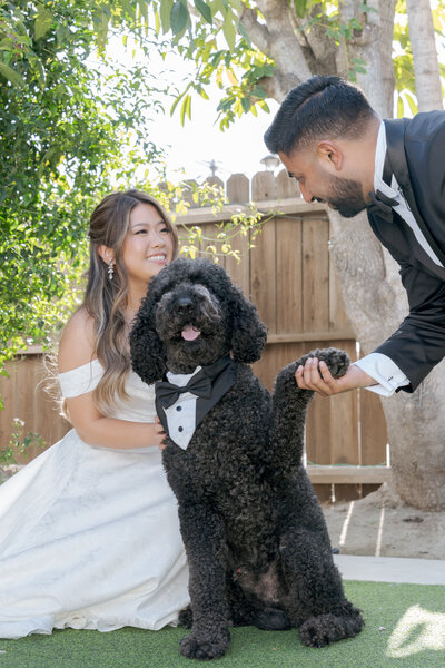 San Francisco Wedding Photography