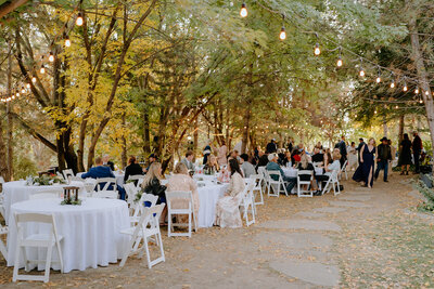GENEA + AUSTIN_-825
