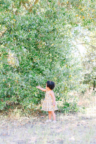 little girl touching leaves on a green bush in an park in orinda during a bay area family session, photo by Anastasiya Photography - San Francisco Photographer