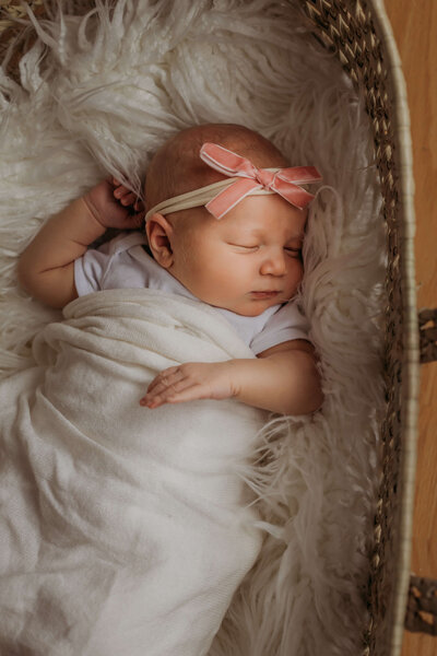 newborn in home session in moses basket near eau claire wi