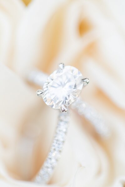 Diamond wedding and engagement rings at Hummingbird Nest Wedding Venue in Los Angeles, California.