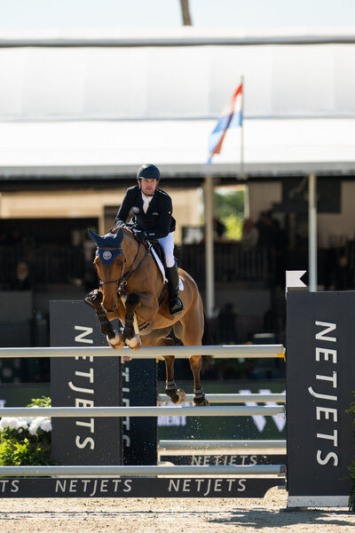 Unbridled MediaAAM_9113