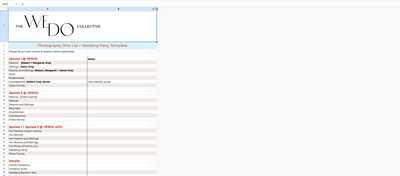 Screenshot of The We Do Collective's Photography Shot List Wedding Spreadsheet Template