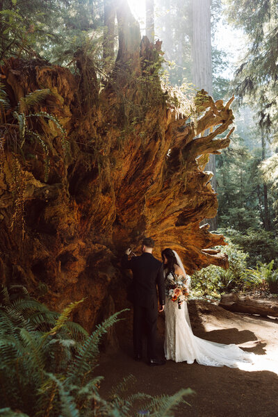 redwoods elopement uncharted elopements4