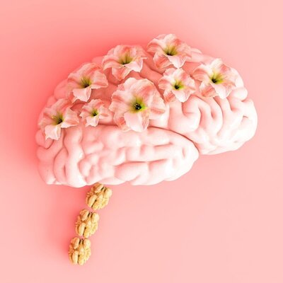 Better Mindset The Key to Your Nutrition Journey