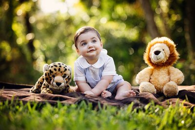 A baby sits on a soft blanket, surrounded by two colorful stuffed animals, creating a cozy and playful scene.
