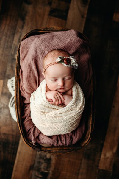 Newborn Prop Portrait