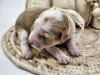 e9bb5453-66e0-4761-ad9f-1d07f9b9f6b0