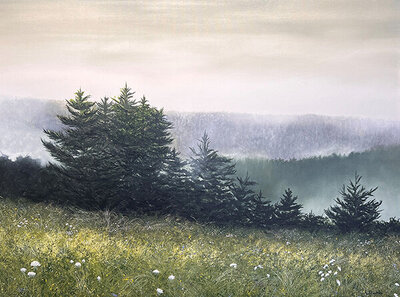 Ambient © Alan Shuptrine, Artist