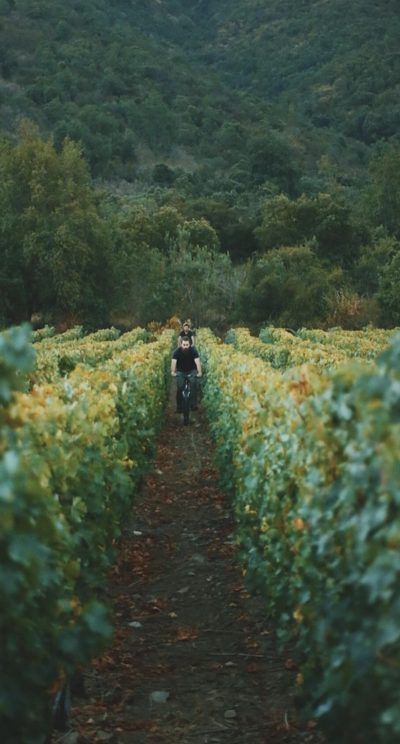 two_weeks_food_and_wine_argentina_and_chile-trip_itinerary-vik-chile-2