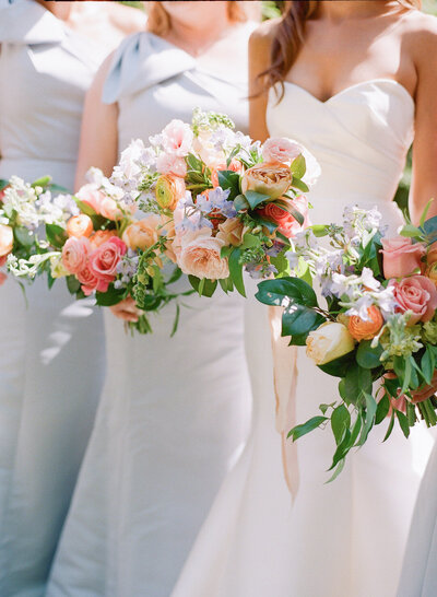 Portrait of a Bride with Veil Photo