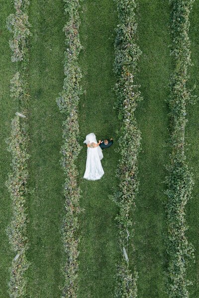 A couple walking through the vines at Daniel's Vineyard in McCordsville, Indiana