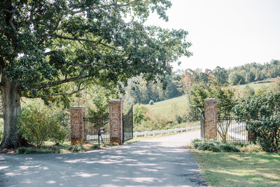 Michael & Morgan Wedding-17