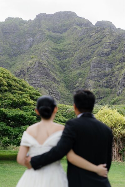 A newlywed couple with their arms around each other looking at a mountain 