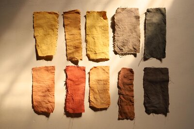 Natural dyeing