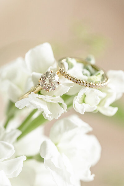elegant wedding photography