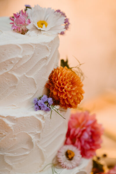 L + J_WED_778
