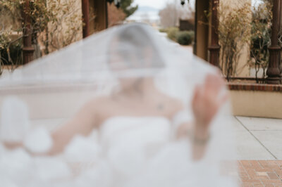 bride holding up veil