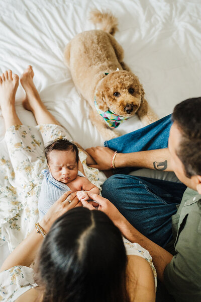 mother and father hold newborn baby and laugh together near window in boston