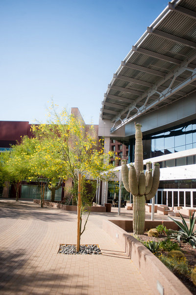 Scottsdale Wedding Photographers - Featured Wedding at the Clayton on the Park