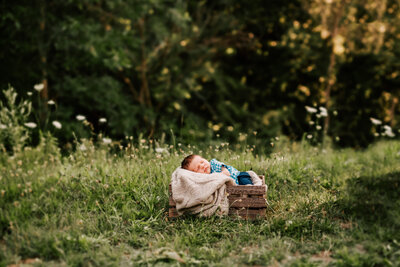 Outdoor newborn photography with a little baby in a wooden crate in a grassy meadow