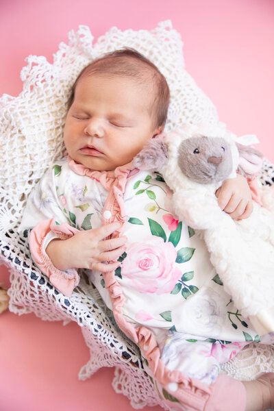 Baby holding lamb stuffed animal | Taken by Maine Photographer