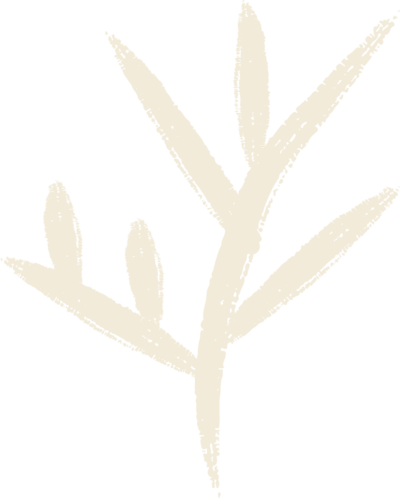 Simple hand drawn green foliage illustration