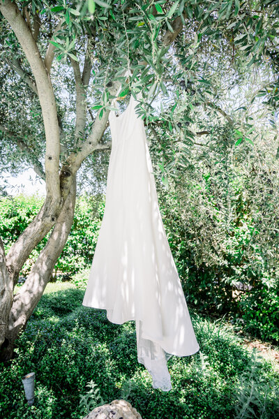 A wedding dress hangs inn a tree at a winery in Paso Robles