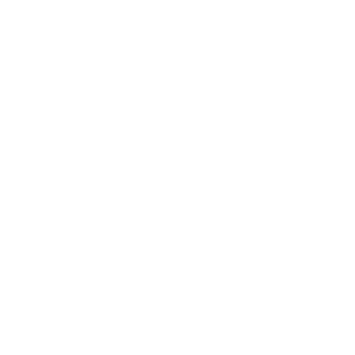 fayetteville flyer logo in white