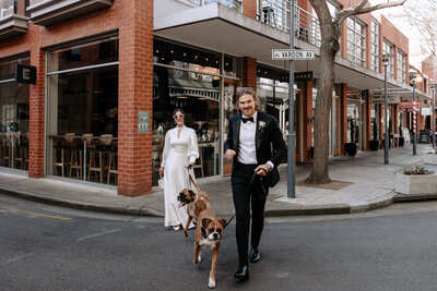 Bride and groom photo session in Adelaide with their dogs