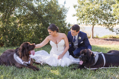 A bride and groom share a fun kiss on the dance floor in Cleveland Ohio