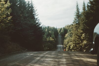 Retro image of a hilly street through a lush forest.