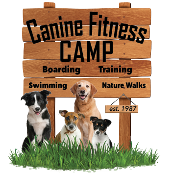 Canine Fitness Camp for Granbury, Texas