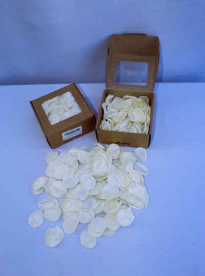 white rose petal (2)