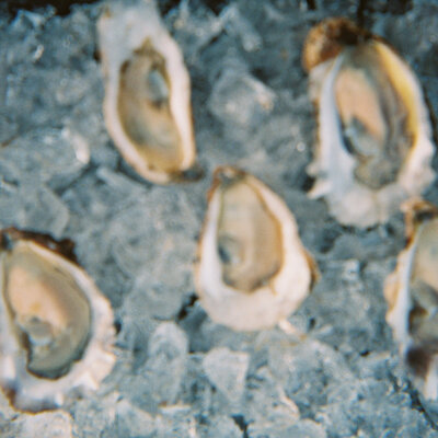 clacol_wed-1361