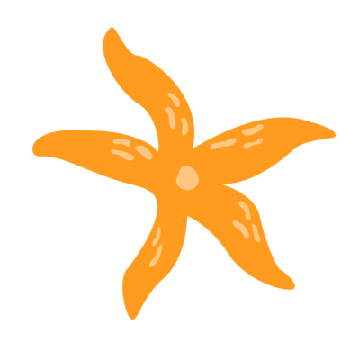Cute orange flower graphic for branding