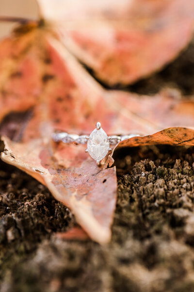 kadie_jr_engaged-3173