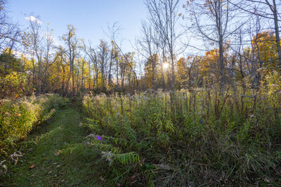 201 Richardson trails (6)