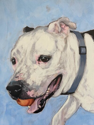 A painted illustration from an artist's creative portfolio that shows a dog holding a ball in it's mouth. 