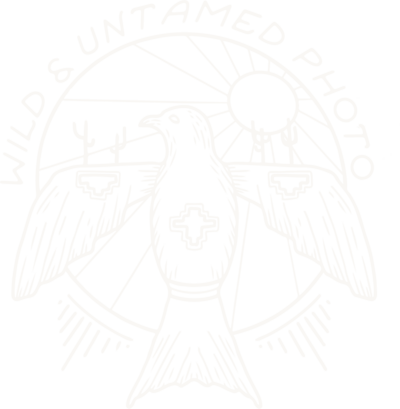 Wild & Untamed logo