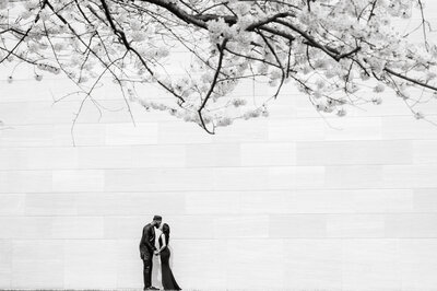 national-gallery-of-art-engagement-photos-5