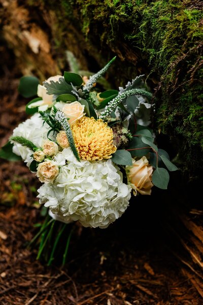 A bouquet of flowers.
