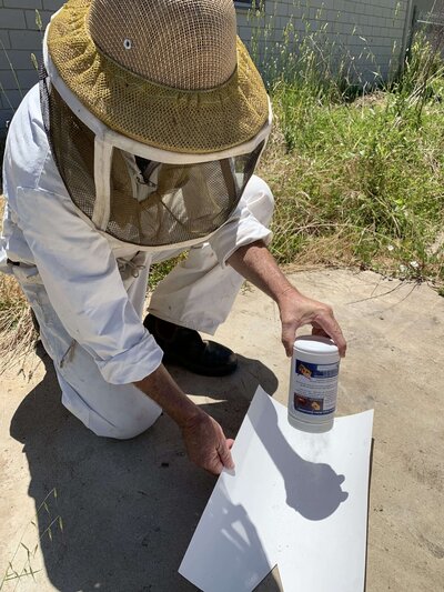 Joe Riordan of Bee Sure Sugar testing for Varroa Mite
