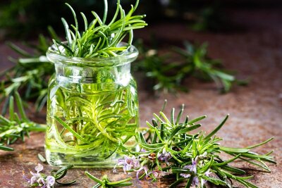 Accredited Herbal Medicine diploma course. 