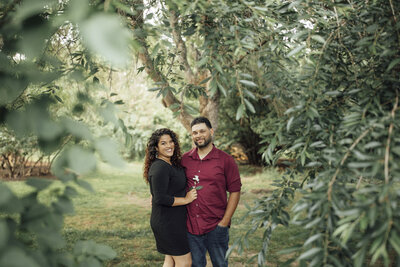 New Jersey Botanical Garden | Couple beneath weeping willow during pre-wedding session | Ringwood, New Jersey