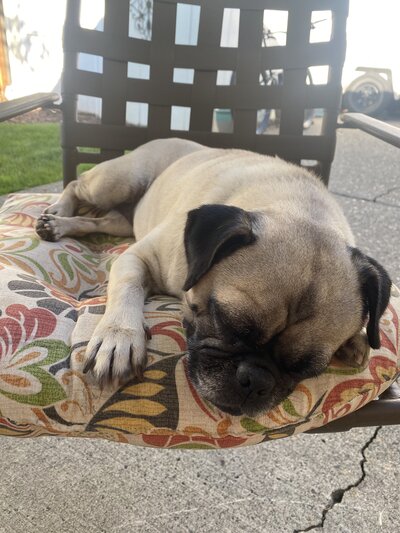 Frida (6)