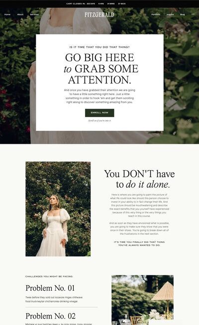 Fitzgerald-Sales-Page-Featured