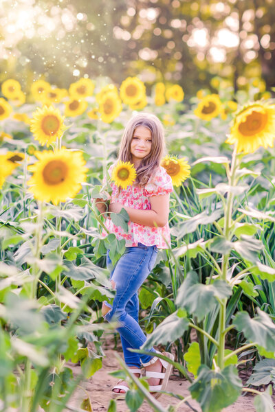 Beautiful child in sunflower fieldedited by private photo editor, erica burleson.