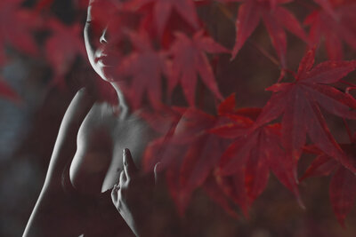 Artistic boudoir photo of a woman, elegantly obscured by red leaves. She wears a delicate bra with a soft expression, partially veiled by foilage, highlighting the intimate and artistic essence of Oakland boudoir photography.