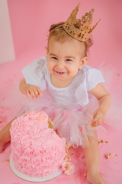 One Year Old Milestone Cake Smash Charlotte North Carolina Photography Shoot